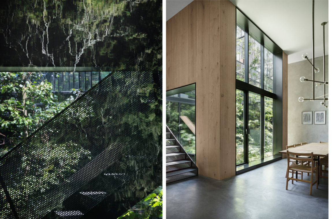 Biophilic Interior Design