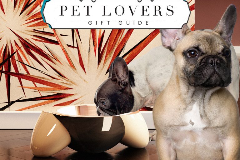How and Where to Find Stylish Luxury Pet Accessories?