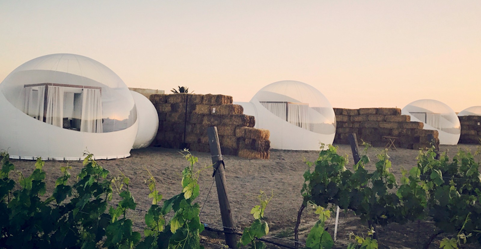 bubble-domes-northern-ireland