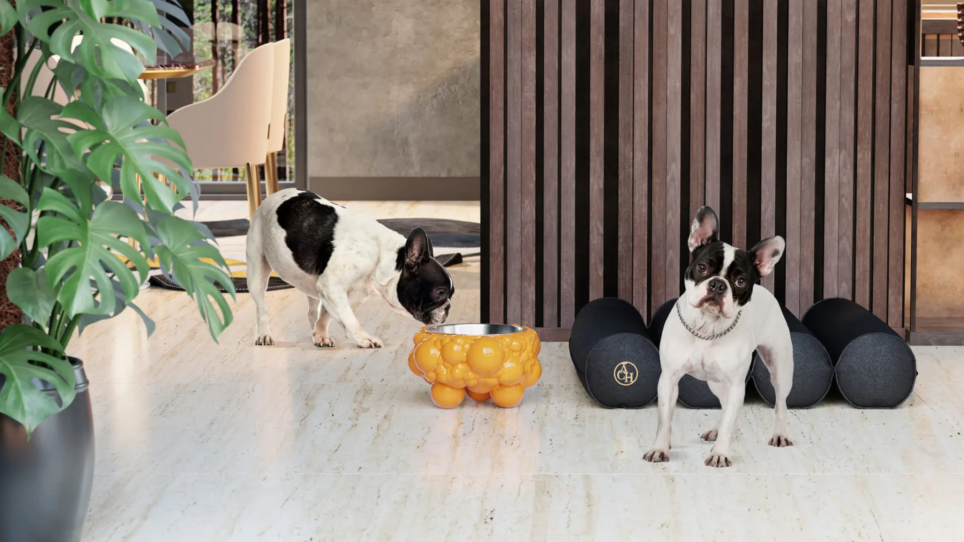 Luxury Dog Accessories for Stylish Pets
