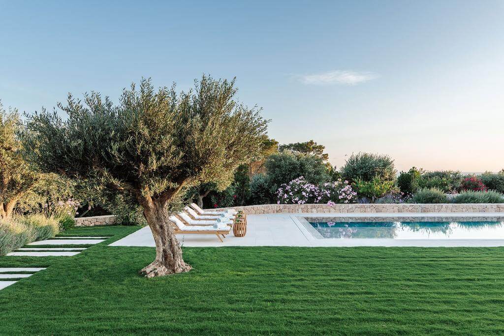 Mediterranean Landscape Design - Luxury Villa in Ibiza