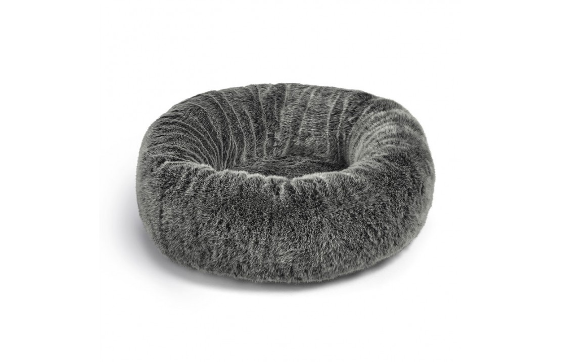 How and Where to Find Stylish Luxury Pet Accessories? - Bed