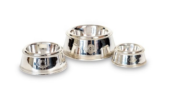 How and Where to Find Stylish Luxury Pet Accessories? - Bowl
